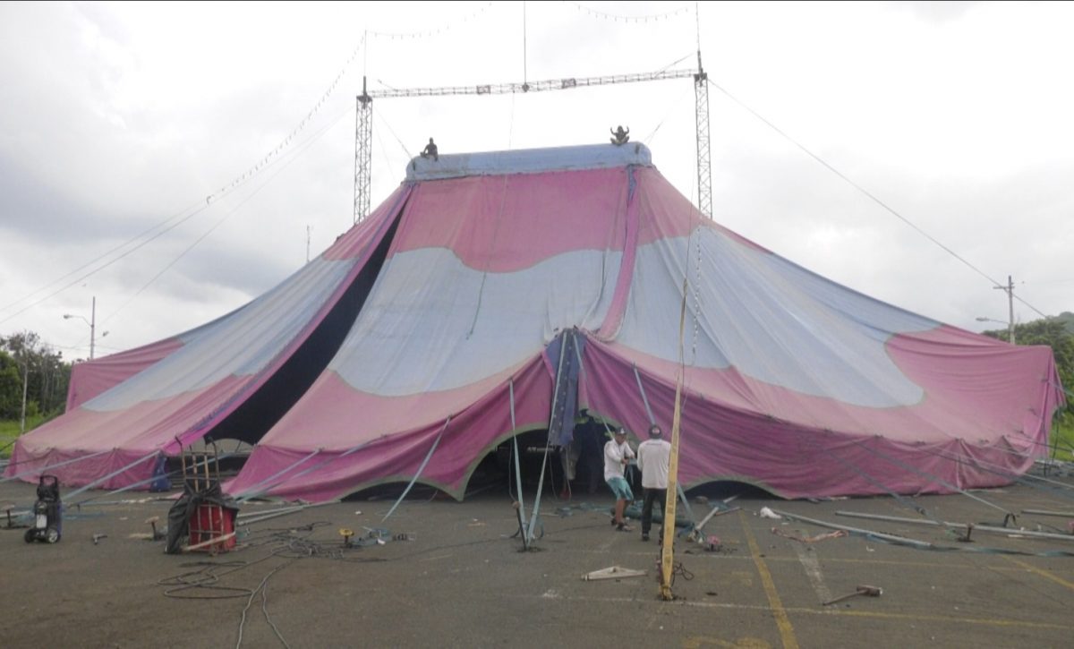 “Venecia Circo sobre el agua” llega a Portoviejo con un espectáculo único y lleno de magia