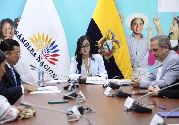 Viviana Veloz asume la presidencia de la Comisión de la Niñez en la Asamblea Nacional