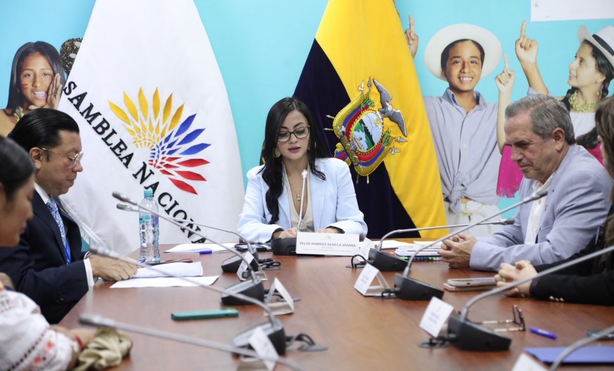 Viviana Veloz asume la presidencia de la Comisión de la Niñez en la Asamblea Nacional