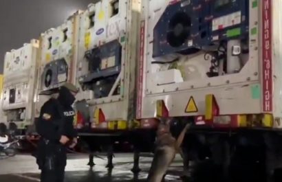 La Policía rastrea la red detrás del envío de droga de Guayaquil a Bélgica