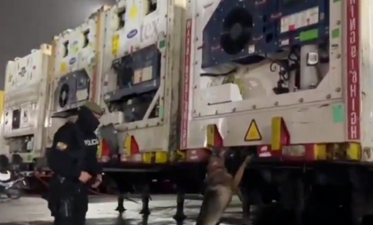 La Policía rastrea la red detrás del envío de droga de Guayaquil a Bélgica