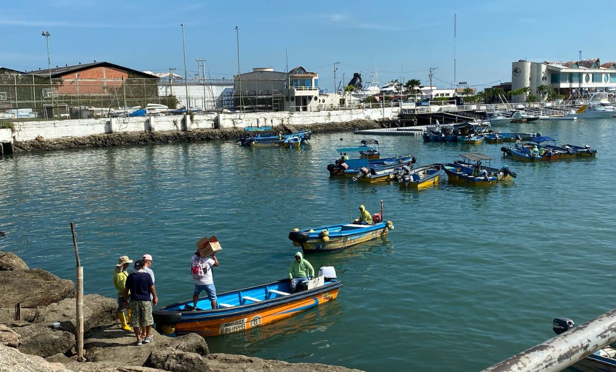 El muelle flotante desempeña un papel clave para los pescadores artesanales de Manta,