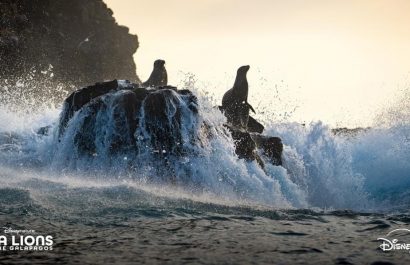 Foto: tomada de Disney+./ Sea Lions of the Galápagos se estrenará el 22 de abril