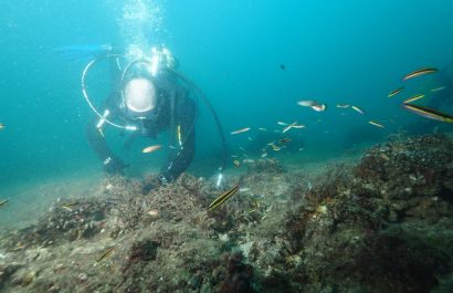 Redes abandonadas y aguas residuales amenazan arrecifes en Manabí y Esmeraldas, según estudios, causan disminución de capturas.