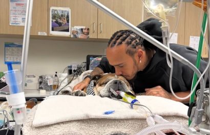 Lewis Hamilton se ausenta de pruebas de Ferrari para acompañar a su bulldog Roscoe en coma