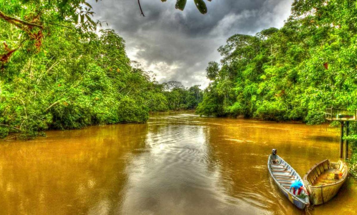 Yasuní fue nombrado Parque Nacional del Ecuador en 1979 y Reserva de la Biosfera de la UNESCO en 1989.