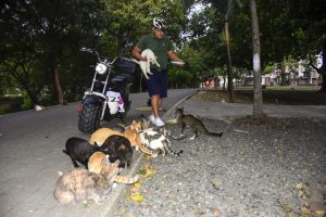 Egddin García: el héroe que recorre Portoviejo en moto eléctrica para alimentar gatos callejeros