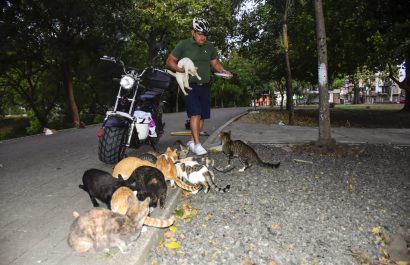Egddin García: el héroe que recorre Portoviejo en moto eléctrica para alimentar gatos callejeros