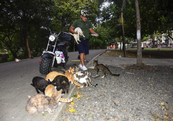 Egddin García: el héroe que recorre Portoviejo en moto eléctrica para alimentar gatos callejeros