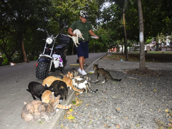 Egddin García: el héroe que recorre Portoviejo en moto eléctrica para alimentar gatos callejeros