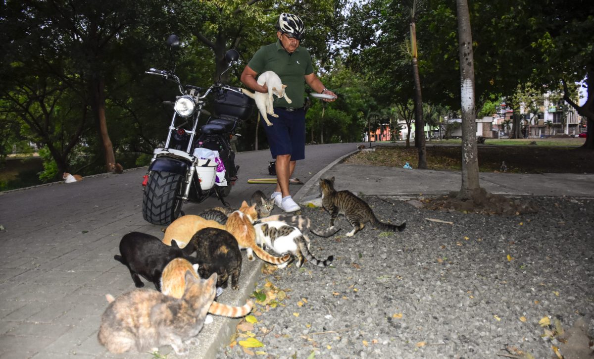 Egddin García: el héroe que recorre Portoviejo en moto eléctrica para alimentar gatos callejeros