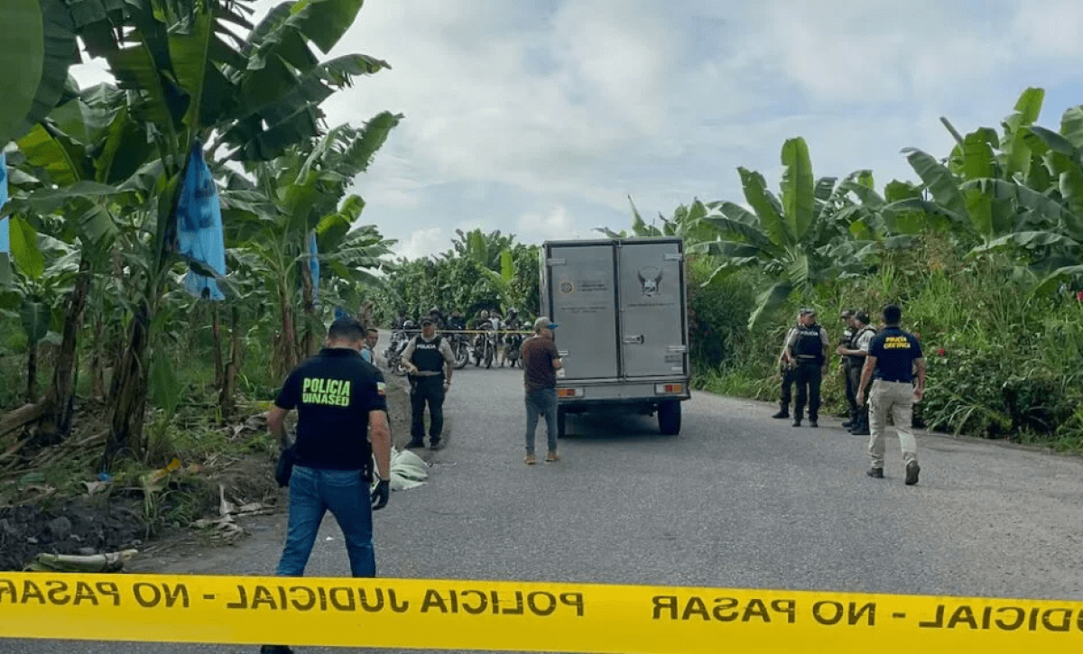 Cubre el cuerpo con hojas de banano y lo abandonan en vía rural, en Santa Rosa, El Oro