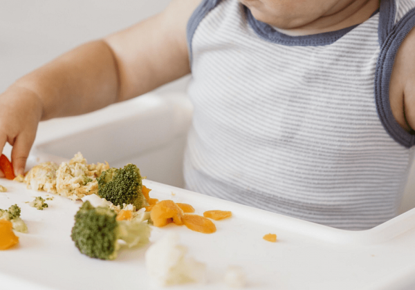 ¿Tu bebé está empezando a comer sólidos? Aquí tienes los mejores alimentos para él