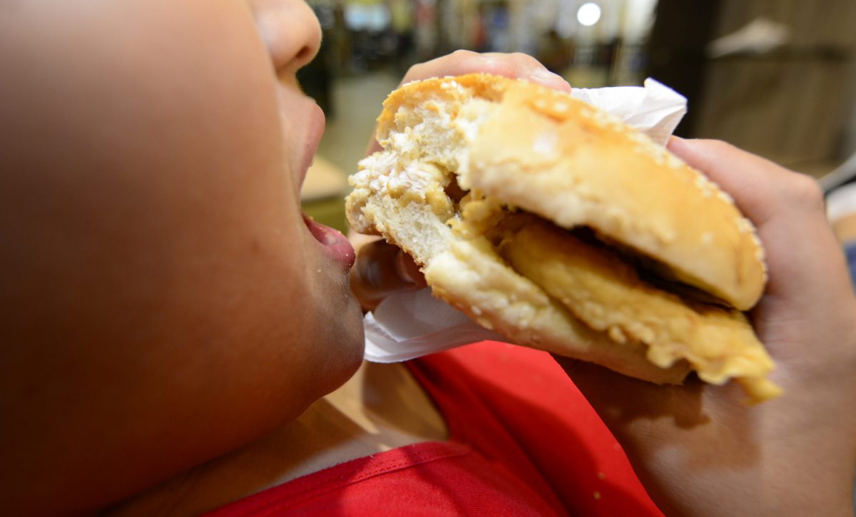 hamburguesas alimentos ultraprocesados