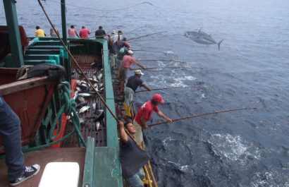 La pesca con caña se practica en Manta desde la década de 1960. Actualmente, solo quedan cinco barcos cañeros.