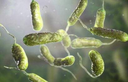 ¿Bacteria carnívora en el agua? EE. UU. alerta sobre letal infección en sus costas