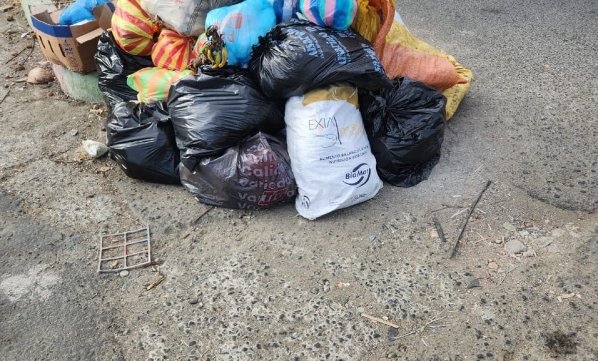 Basura acumulada en uno de los parterres de la 15 de Abril, en Manta.