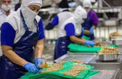 El camarón se ha convertido en el principal producto de exportación no petrolera del país.