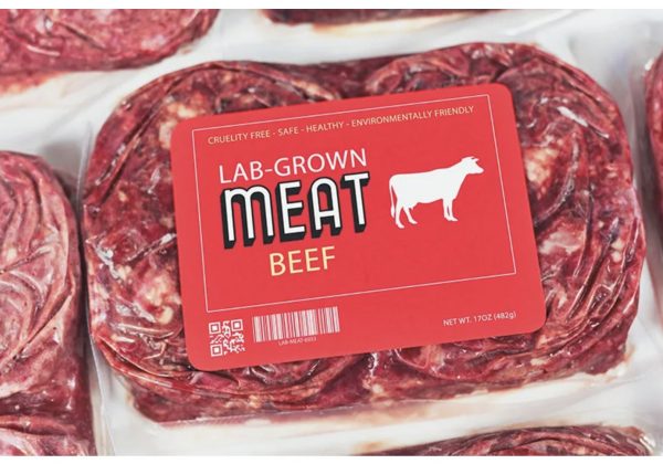 Aunque la producción de carne cultivada ha avanzado, su costo elevado sigue impidiendo que compita con la carne tradicional. Pese a que los precios han bajado gracias a la eficiencia y la escala de producción, aún están lejos de ser competitivos.