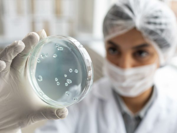 ¿Por qué no todos engordan igual? Tu microbioma tiene la respuesta