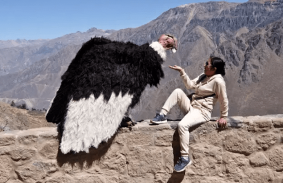César Zuka sorprende a turistas en el Colca disfrazado de cóndor andino