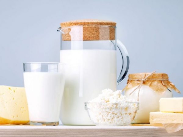 ¡Lácteos al rescate! Cómo la leche y el queso cuidan tus dientes