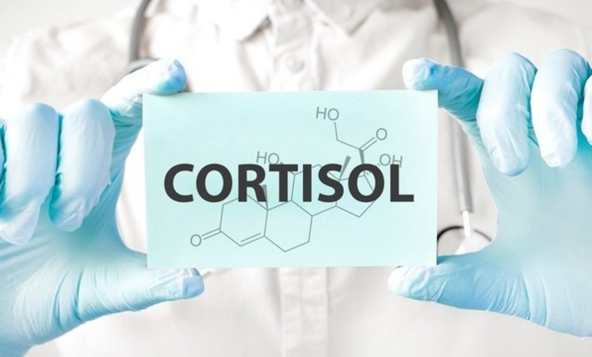¿Qué es el cortisol y cuál es su función en el cuerpo humano?