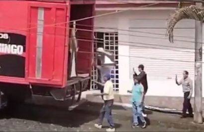 Denuncian uso de vehículo de Bomberos en Santo Domingo para transportar figuras de Noboa