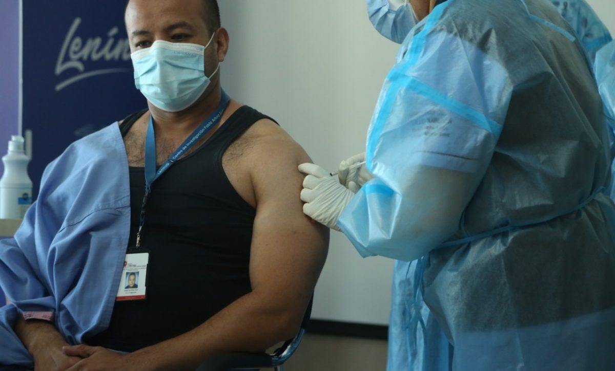 diferencias entre dengue, zika y fiebre amarilla