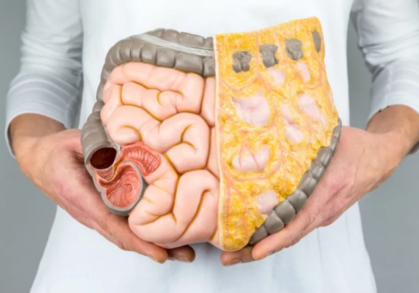Grasa visceral: el enemigo silencioso dentro de tu cuerpo