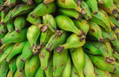 Qué alimentos pueden reemplazar al plátano verde en la cocina ecuatoriana