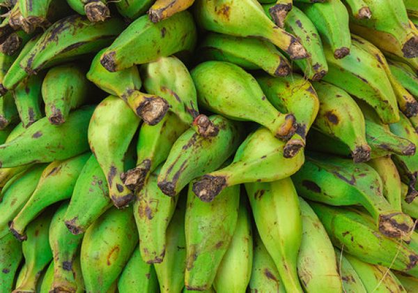 Qué alimentos pueden reemplazar al plátano verde en la cocina ecuatoriana