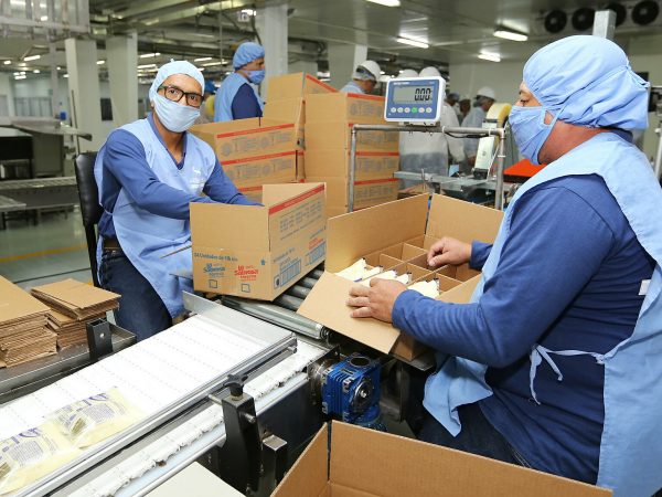 grandes contribuyentes, SRI, empresas, Ecuador