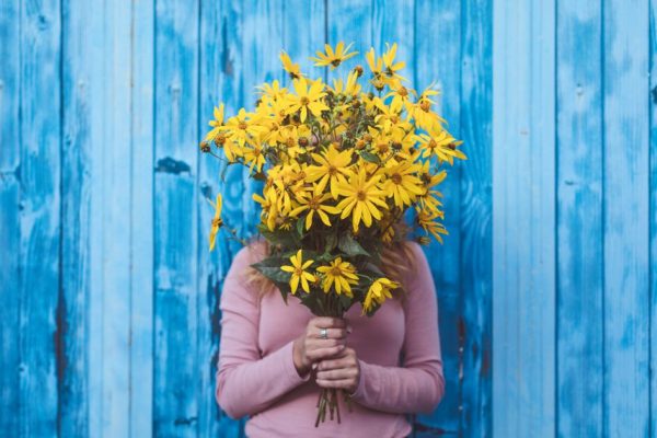 Guía de flores amarillas ideales para celebrar el 21 de septiembre