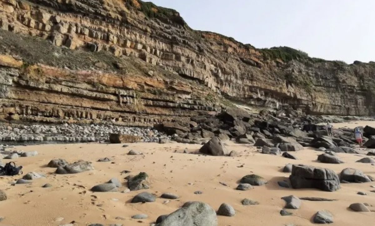Las flores están presentes en la Tierra hace 123 millones de años