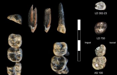 Fósiles en Etiopía Revelan Coexistencia de Dos Especies Humanas Hace 2,8 Millones de Años.