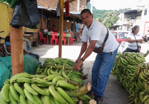 foto de archivo del año 2018 En otros años, en esta temporada, el plátano era el más cosechado.