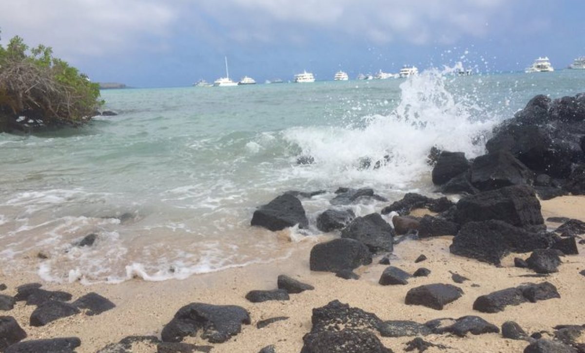 Alerta de posible tsunami en Ecuador: revisa a qué hora podrían llegar las olas a tu zona