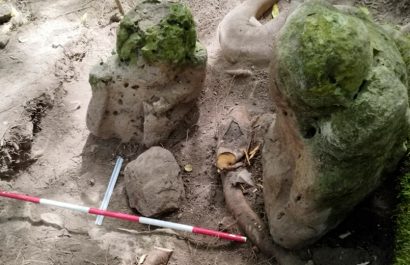 Dos esculturas antropomórficas de forma o apariencia humana que "representan a una pareja ancestral", descubiertas en el yacimiento arqueológico de Uaxactún, en la Reserva de la Biosfera Maya, departamento de Petén, Guatemala FOTO: AFP