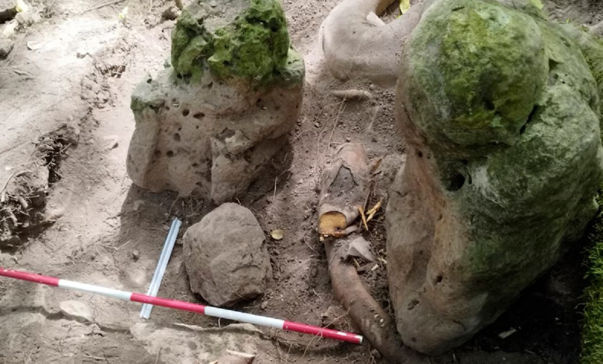 Dos esculturas antropomórficas de forma o apariencia humana que "representan a una pareja ancestral", descubiertas en el yacimiento arqueológico de Uaxactún, en la Reserva de la Biosfera Maya, departamento de Petén, Guatemala FOTO: AFP