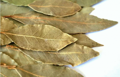 Hojas de Laurel remedio casero contra insectos