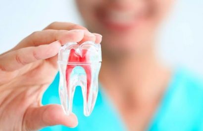 Pulpa Dental, una nueva fuente de células madre para tratar enfermedades neuronales