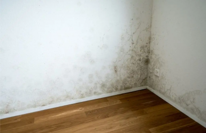 Descubre qué esconde la humedad en tu casa y cómo solucionarlo a tiempo