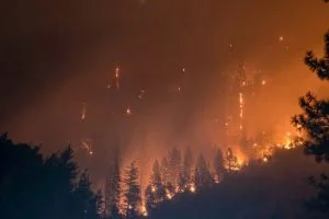 Investigación vincula cambio climático con aumento de incendios extremos en Europa