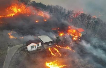 Incendios forestales en Corea del Sur dejan 15 muertos y miles de evacuados