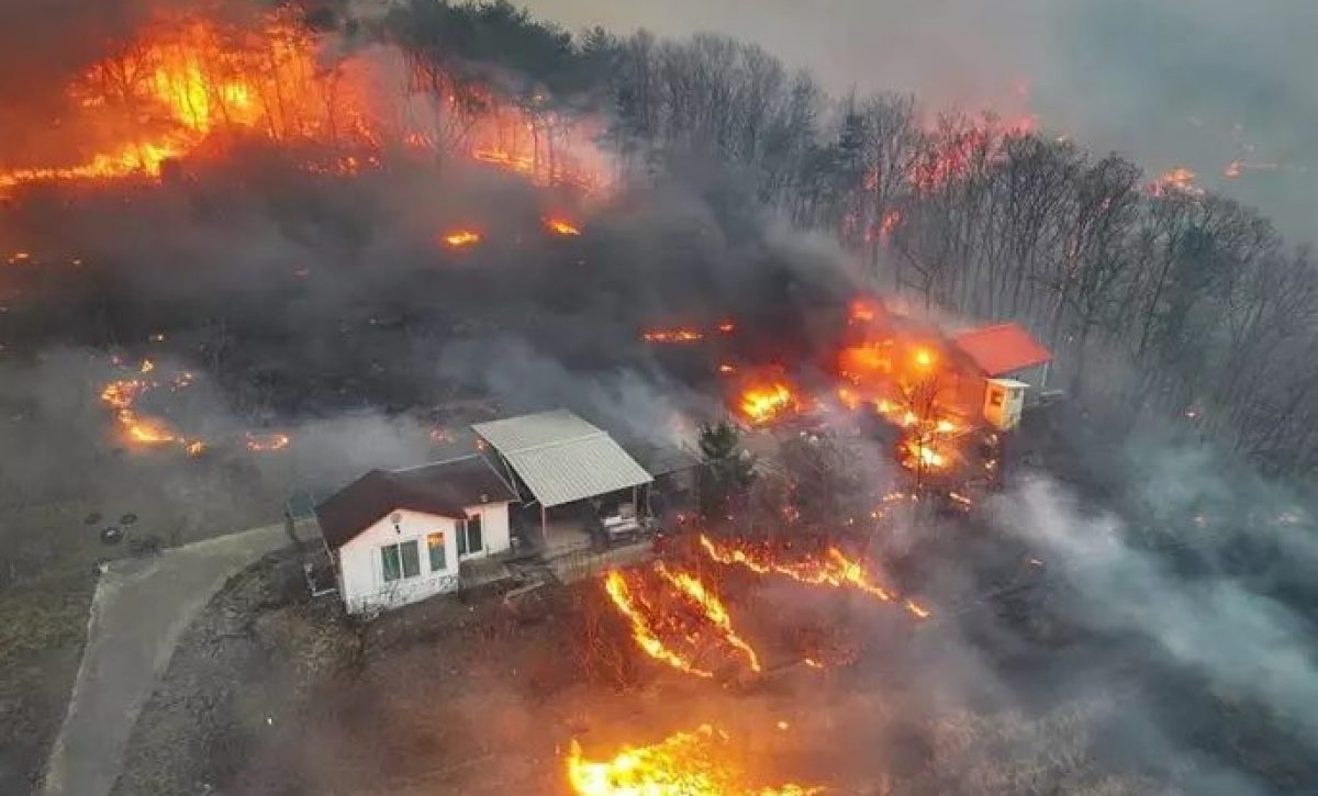 Incendios forestales en Corea del Sur dejan 15 muertos y miles de evacuados