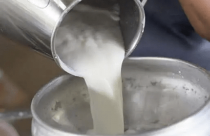 La leche ecuatoriana conquista un nuevo mercado en Centroamérica