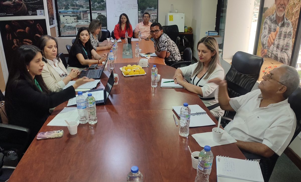 En la reunión participaron funcionarios del MAG, municipios y GAD Parroauiales.