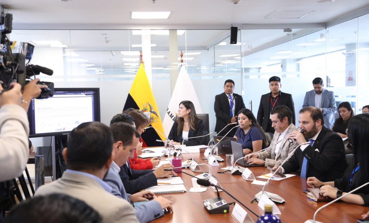 La presidenta de la comisión, Valentina Centeno, anunció que el informe para primer debate del proyecto de ley de transparencia social se someterá a votación el miércoles 13 de agosto. FOTO: @AsambleaEcuador.