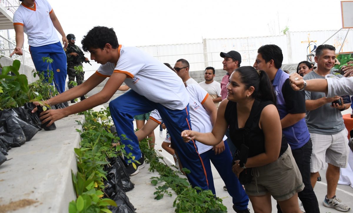 Se retoma la reforestación en Manta; Municipio entrega árboles este jueves a la Unidad Educativa Nazaret.